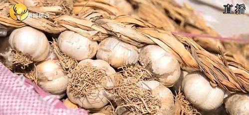 买蒜视频,揭秘买蒜视频背后的美食奥秘
