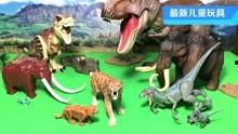 恐龙玩具视频,探索远古生物的奇幻世界