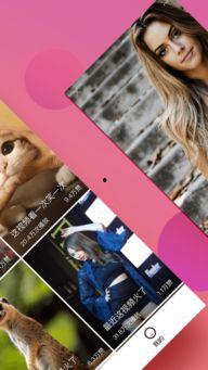 袋熊视频下载安装,轻松获取萌宠乐趣